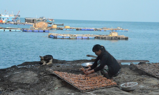 Cuộc sống mới trên đảo Hòn Chuối, Cà Mau - ảnh 1